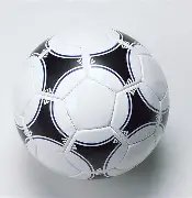 冯远征与林,妙可缅怀故,去国际奥委,188金宝博官网,188bet金宝博,188bet备用网址,188金宝博官网