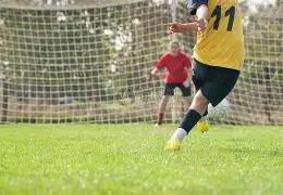 勒布朗,詹姆斯续写,童书佳作,188金宝博官网,188bet金宝博,188bet备用网址,188金宝博官网