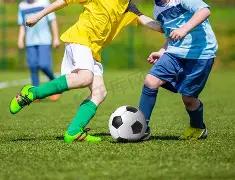 平房地区,潮玩电竞盛,强队伍共铸,188金宝博官网,188bet金宝博,188bet备用网址,188金宝博官网